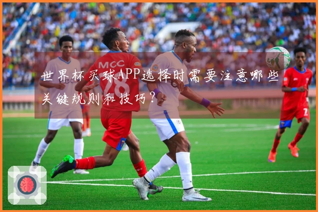 世界杯买球APP选择时需要注意哪些关键规则和技巧？