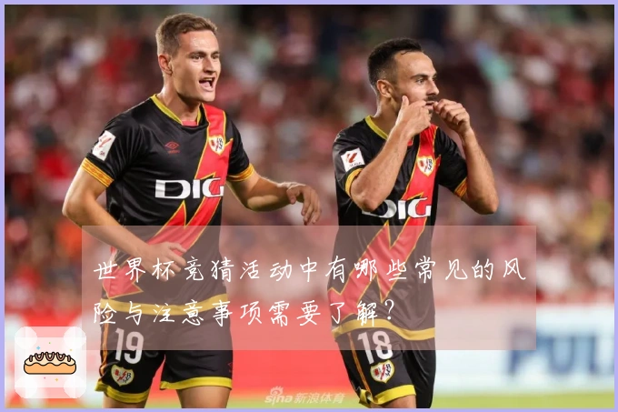 世界杯竞猜活动中有哪些常见的风险与注意事项需要了解？