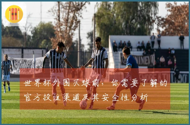 世界杯外围买球前,你需要了解的官方投注渠道及其安全性分析