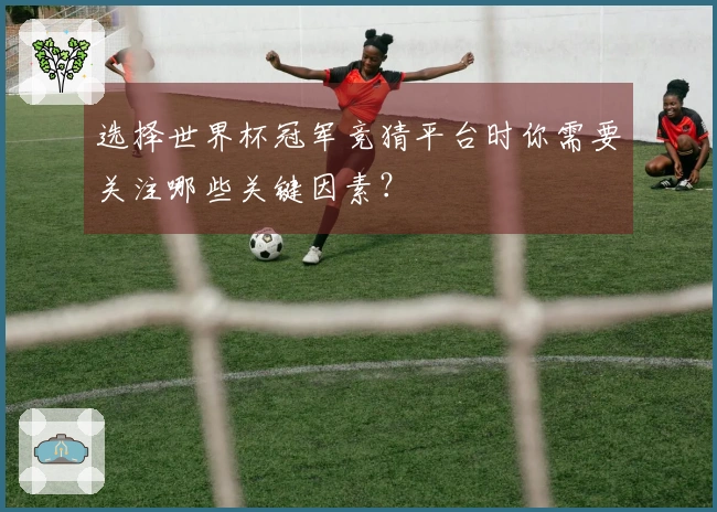 选择世界杯冠军竞猜平台时你需要关注哪些关键因素？